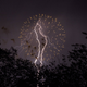 Illustration for article titled The 100 Most Astonishing Images of 2013